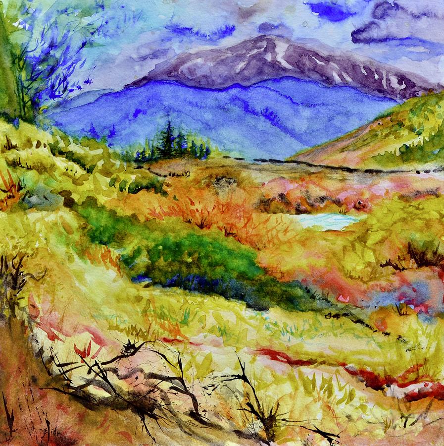 Middle Fork South Platte Painting by Beverley Harper Tinsley