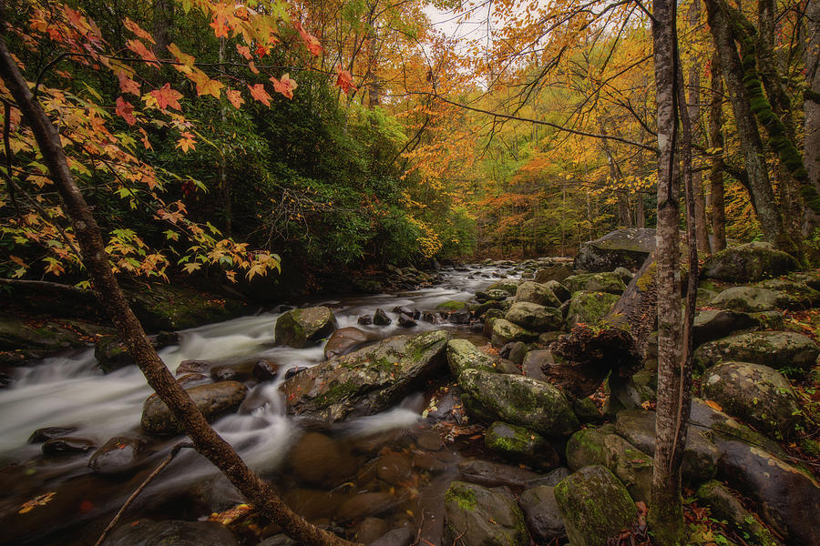 Middle Prong Little River in Autumn Photograph by Robert J Wagner