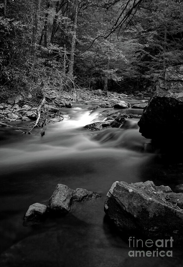 Middle Prong of the Little river on the road to Treemont. Photograph by Douglas Stucky