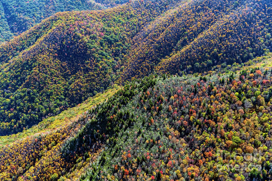 Middle Prong Wilderness in Pisgah National Forest with Autumn Co Photograph by David Oppenheimer