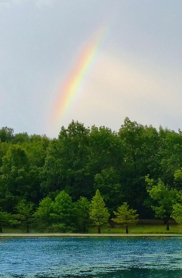 Middle Tennessee Rainbow  Photograph by Ally White