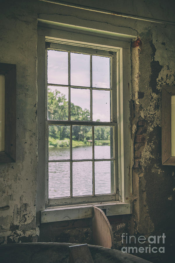 Middleton Place - Day Dreaming Photograph