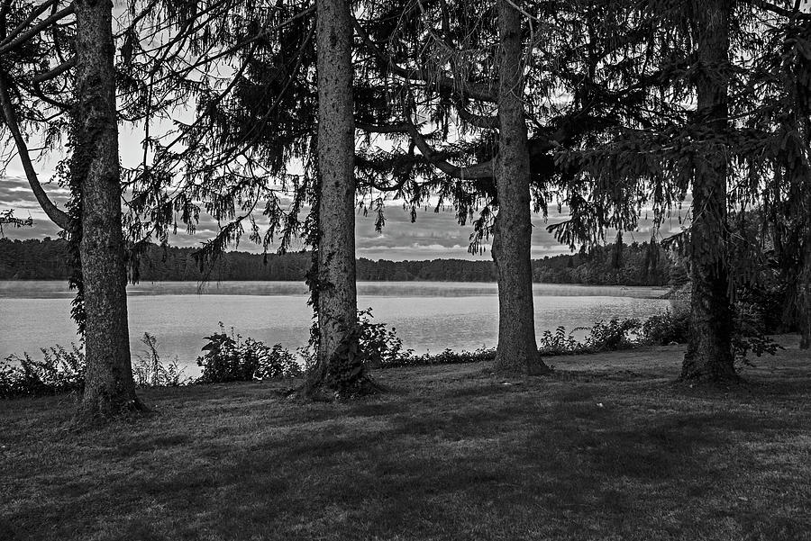 Middleton Pond Middleton Massachusetts Beautiful Morning Light Red Glow Through the Trees BW Photograph by Toby McGuire