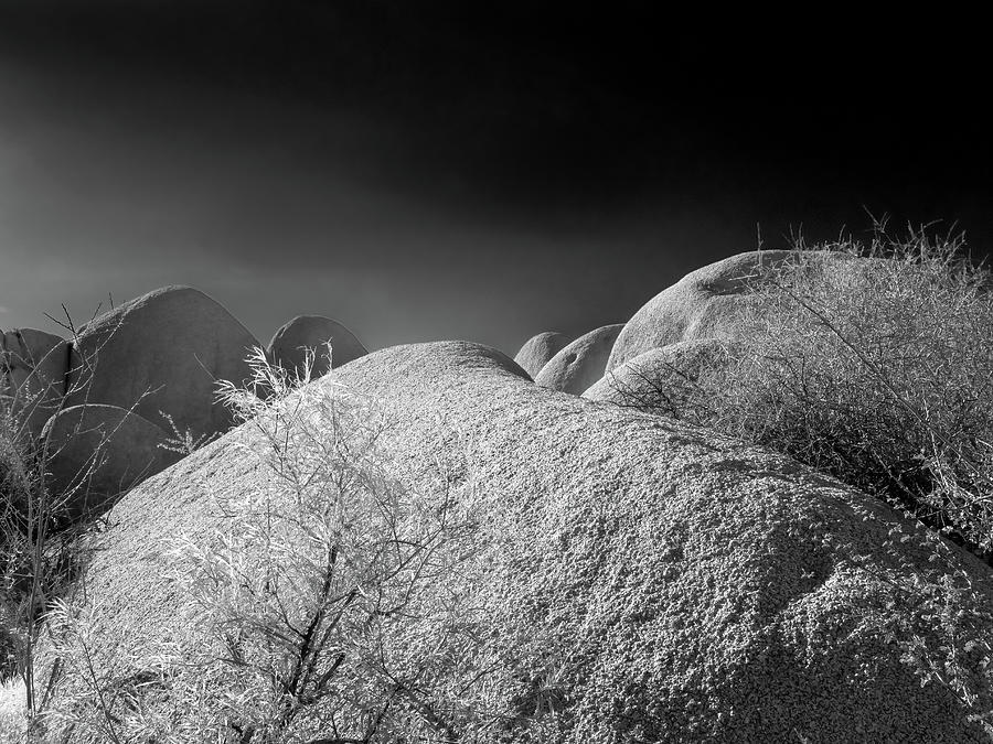 Midnight at Jumbo Rocks Photograph by Joe Schofield