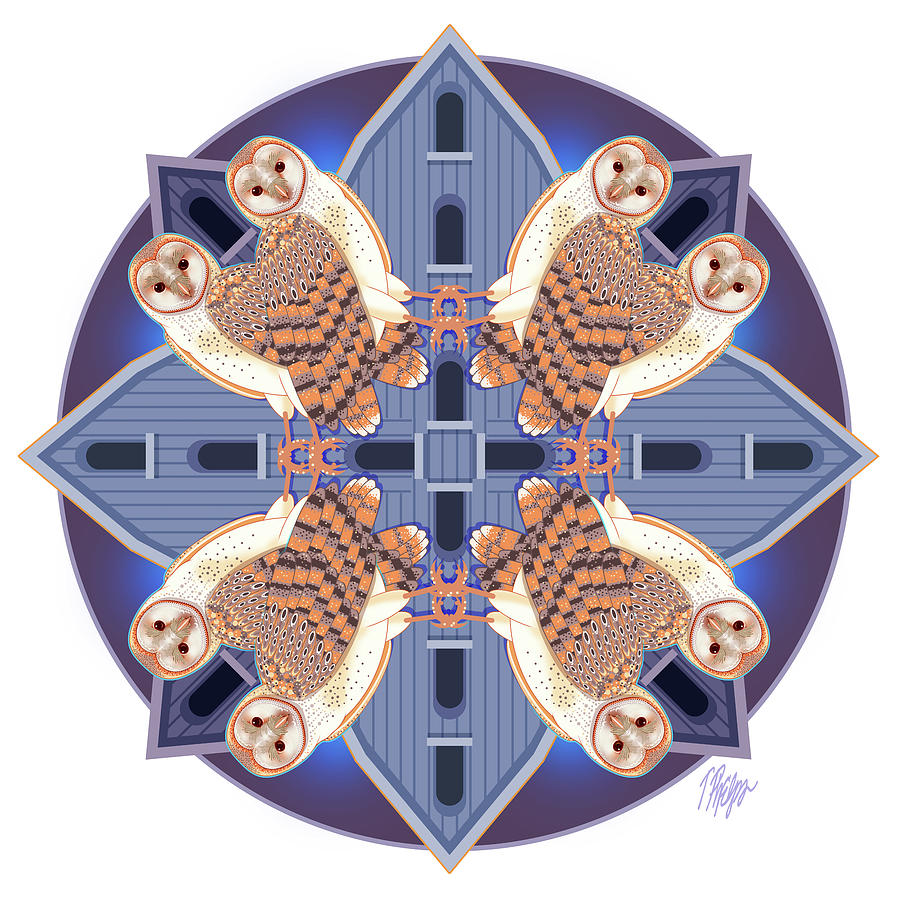 Midnight Barn Owl Mandala Digital Art by Tim Phelps