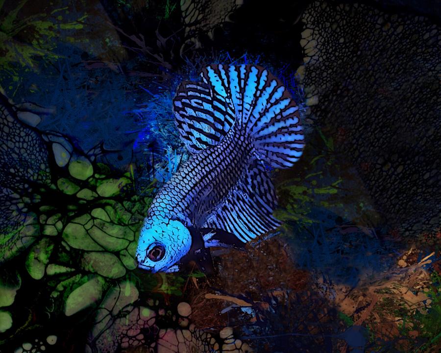 Midnight Blue Neon Betta Fish Digital Art