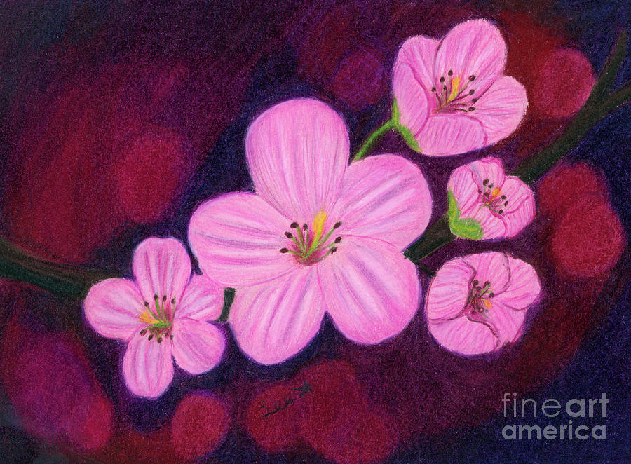 Midnight Cherry Blossom Painting by Dorothy Lee
