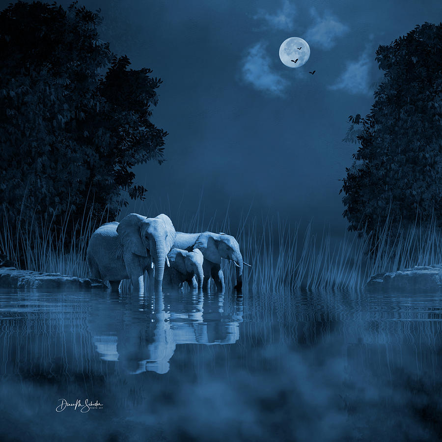 Elephant Digital Art - Midnight Elephants at the Watering Hole by Diane Schuster