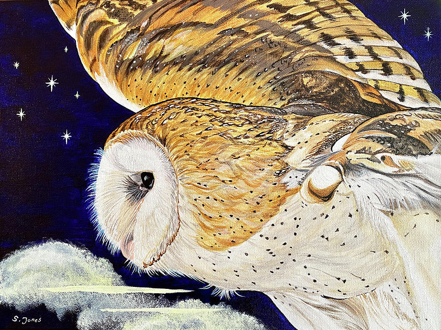 Midnight Flight By Moonlight Painting by Sonja Jones
