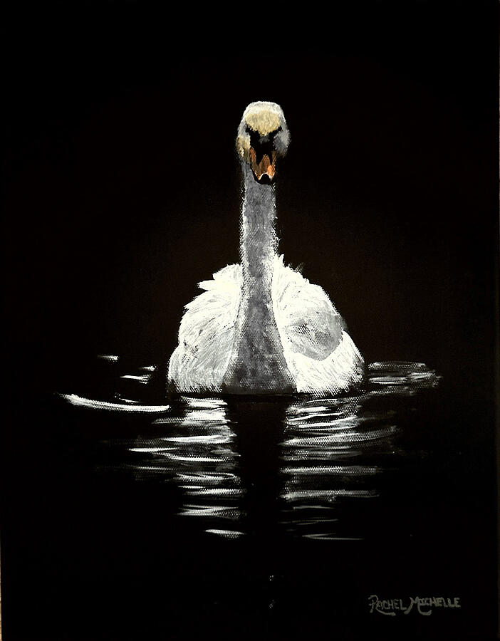 Swan Painting - Midnight Grace by Rachel Michelle