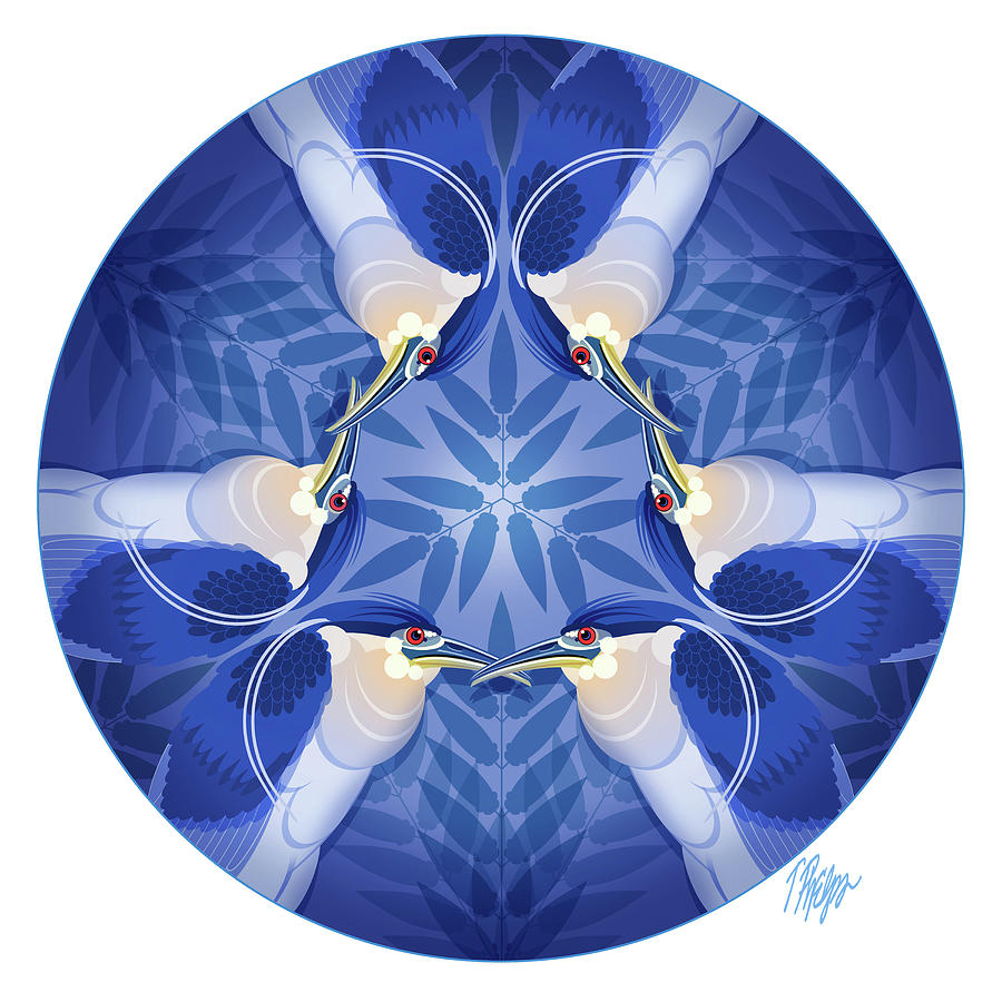 Midnight Heron Nature Mandala Digital Art by Tim Phelps