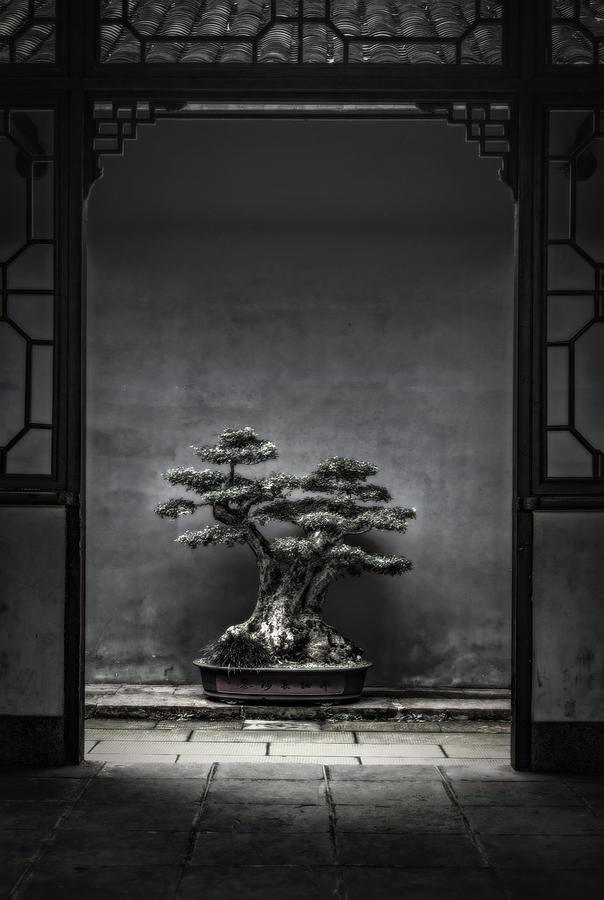 Still Life Photograph - Midnight in Kyoto by Susan Maxwell Schmidt