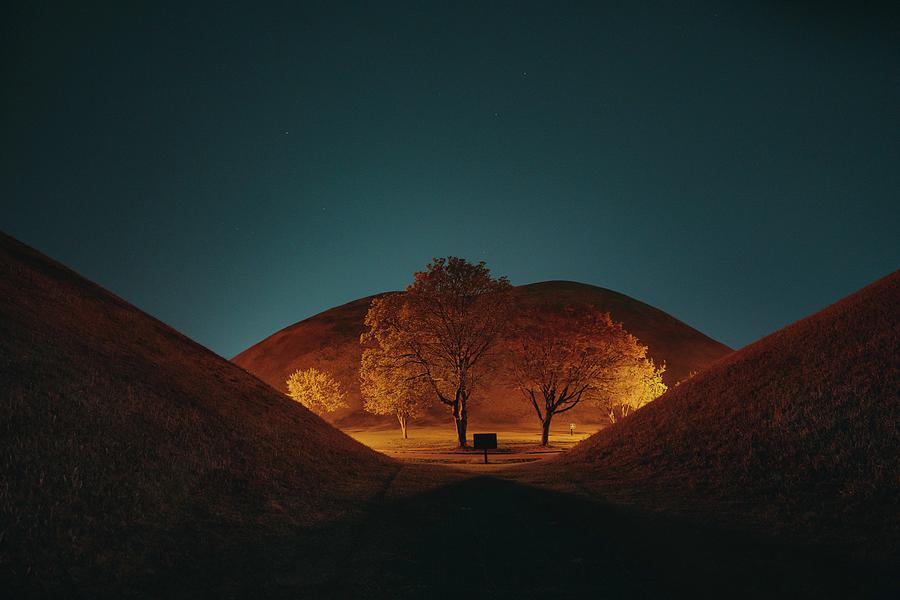midnight - leafless tree on brown field during night time - Gyeongju Photograph