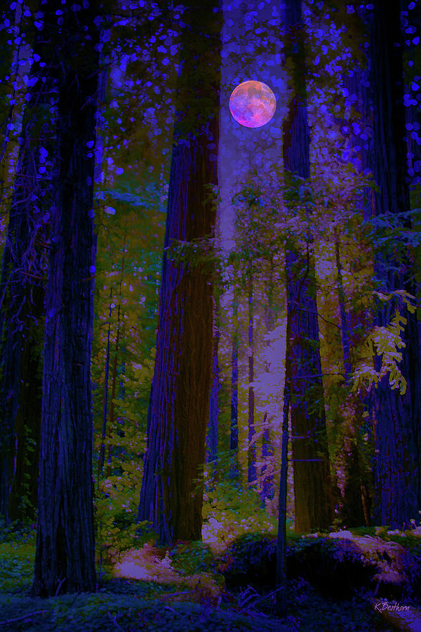 Midnight Redwoods Digital Art by Kathy Besthorn