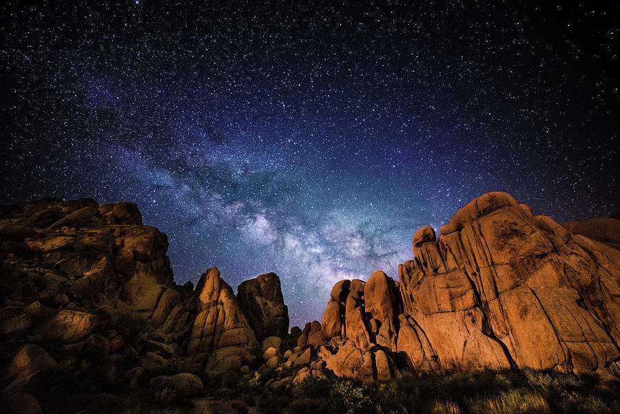 Midnight Serenade Photograph by Marilyn McFarlin - Fine Art America