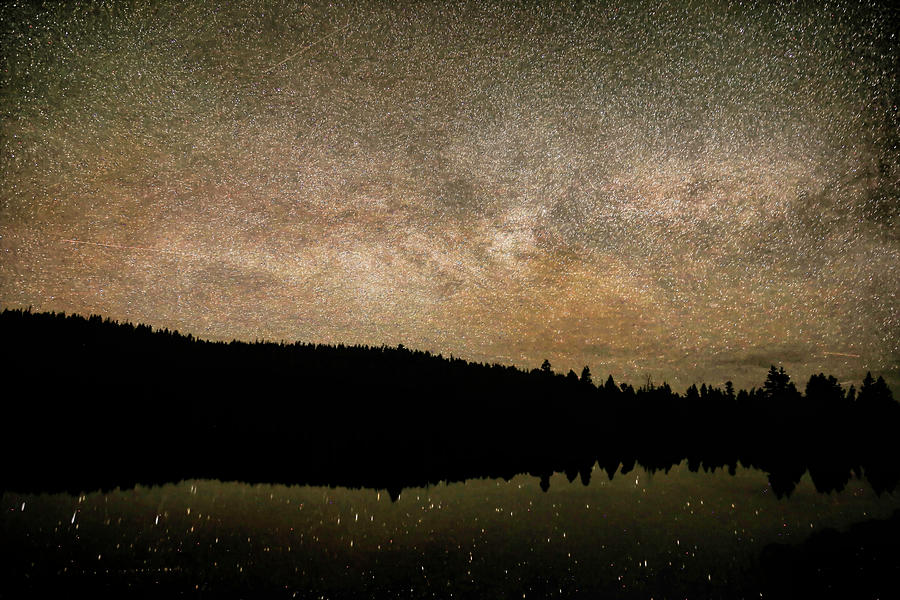 Midnight Sky Over Duck Creek Pond Photograph by Donna Kennedy