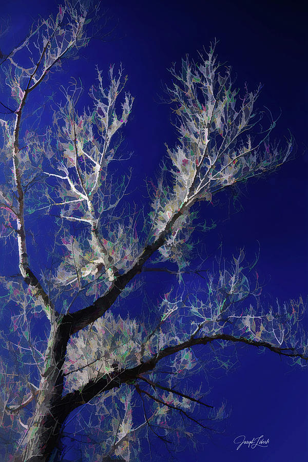 Garden Of The Gods Digital Art - Midnight_Moonlight_20210319 by Joseph Liberti Garden Of The Gods Digital Art - Midnight_Moonlight_20210319 by Joseph Liberti