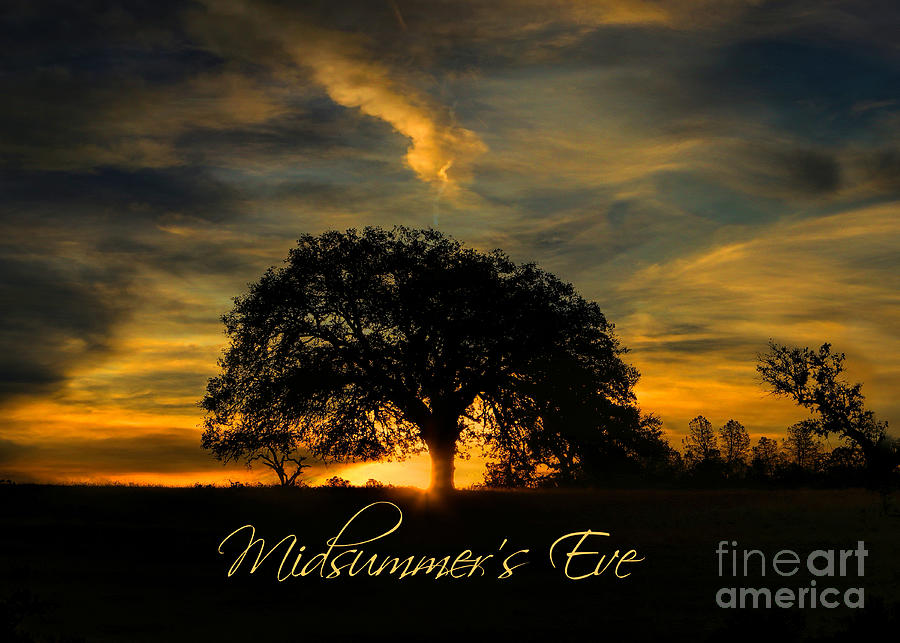 Midsummers Eve Majestic Oak Tree in The Sunset Summer Solstice Photograph by Stephanie Laird