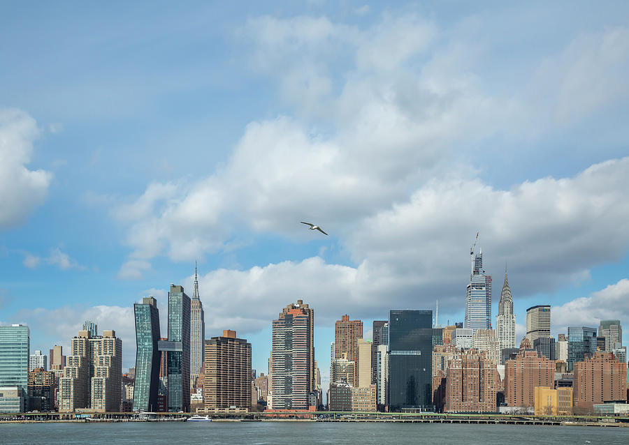 Midtown Manhattan Skyline Photograph by Cate Franklyn
