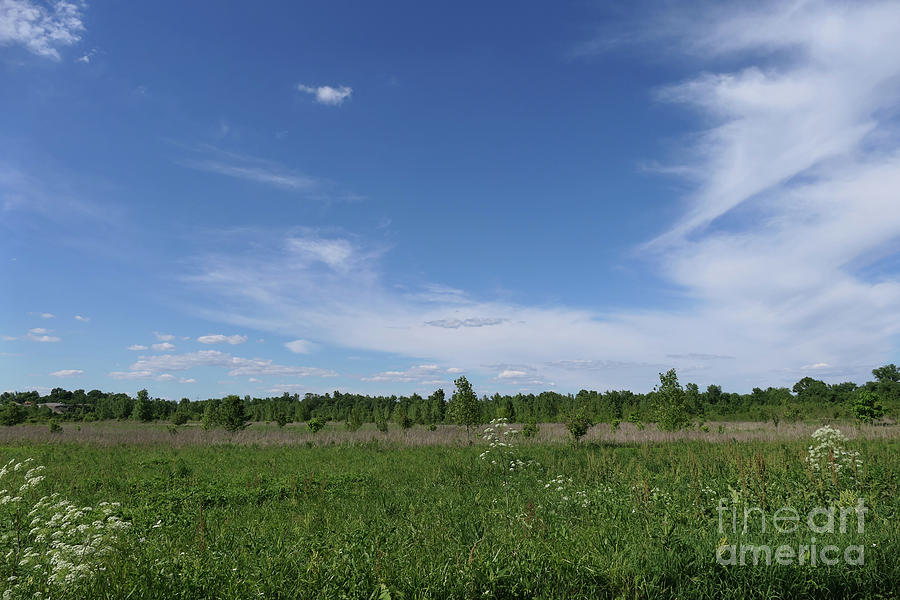 Midwest Meadow Landscape Photograph by Bentley Davis