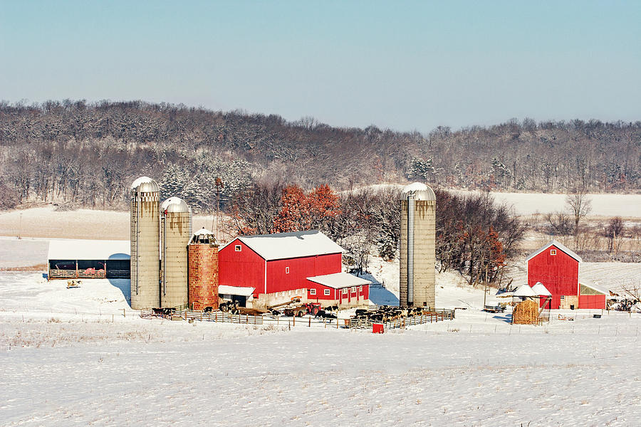 Midwestern Dairy Photograph by Todd Klassy
