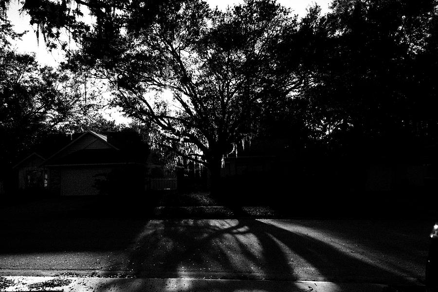 Midwinter Sunset Shadows Black And White Photograph by Christopher Mercer