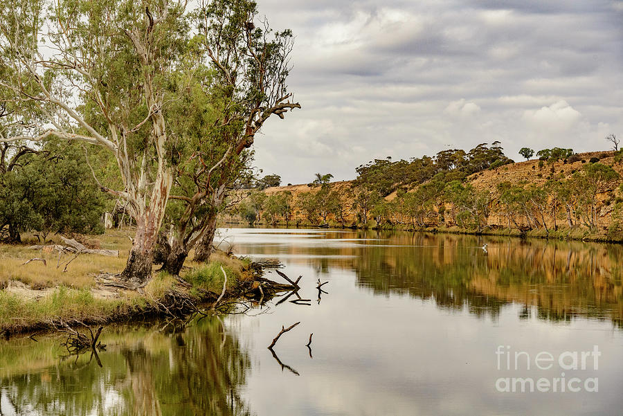 Nature Photograph - Mighty Murray 02 by Werner Padarin