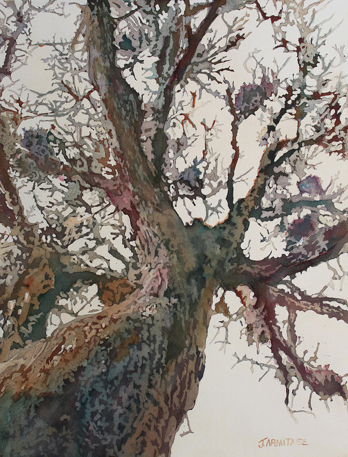 Mighty Oak Painting by Jenny Armitage