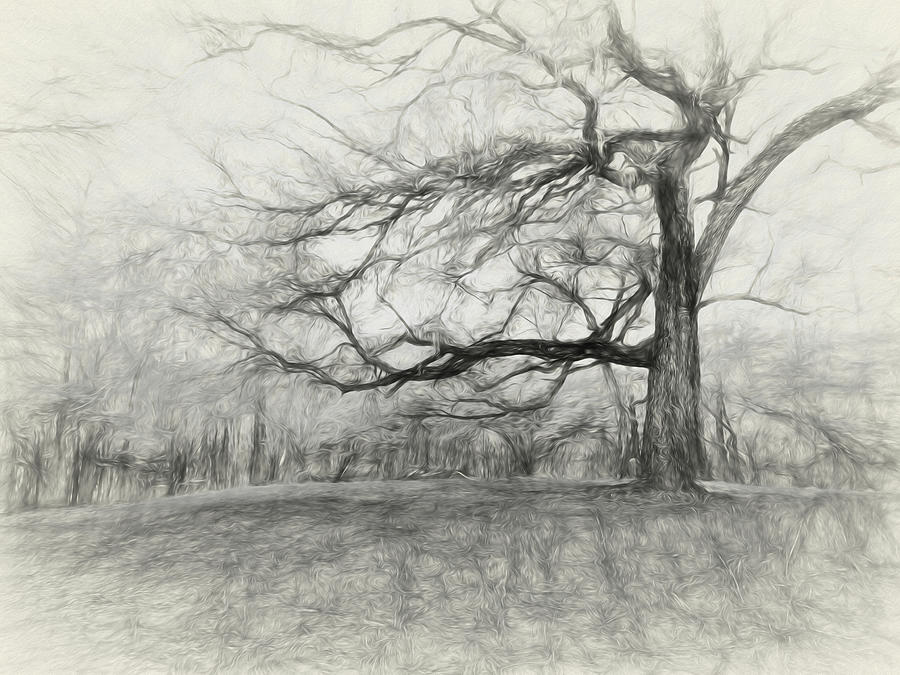  Mighty Oak Tree Digital Art by Susan Hope Finley