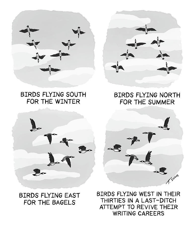 Migration Guide Drawing by Tommy Siegel