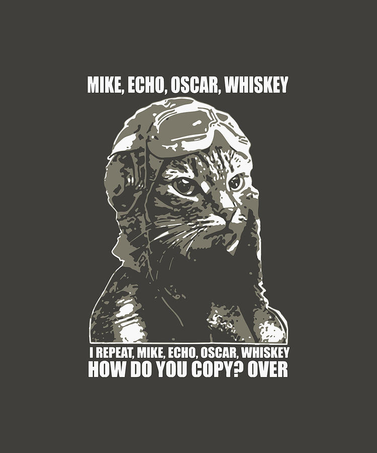 mike echo oscar whiskey I repeat mike echo oscar whiskey how do you ...