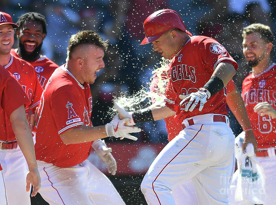 Mike Trout Photograph by John Mccoy Mike Trout Photograph by John Mccoy