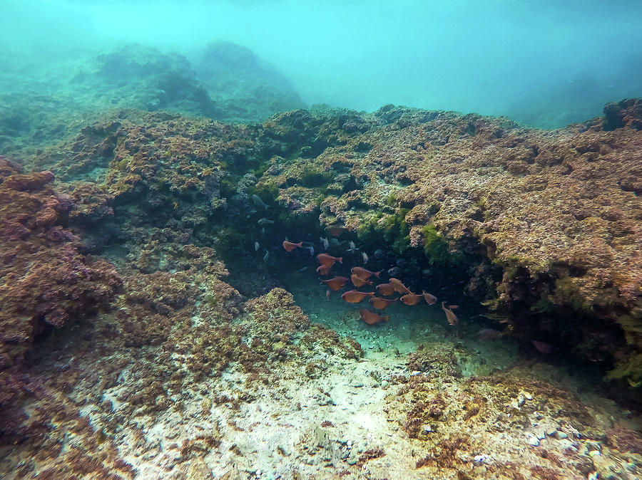 Mikhmoret Reef Photograph