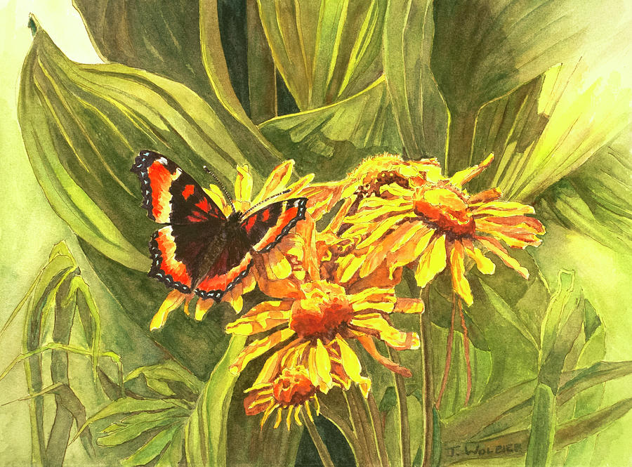 Milberts Tortoiseshell Butterfly Mixed Media by Joan Wolbier