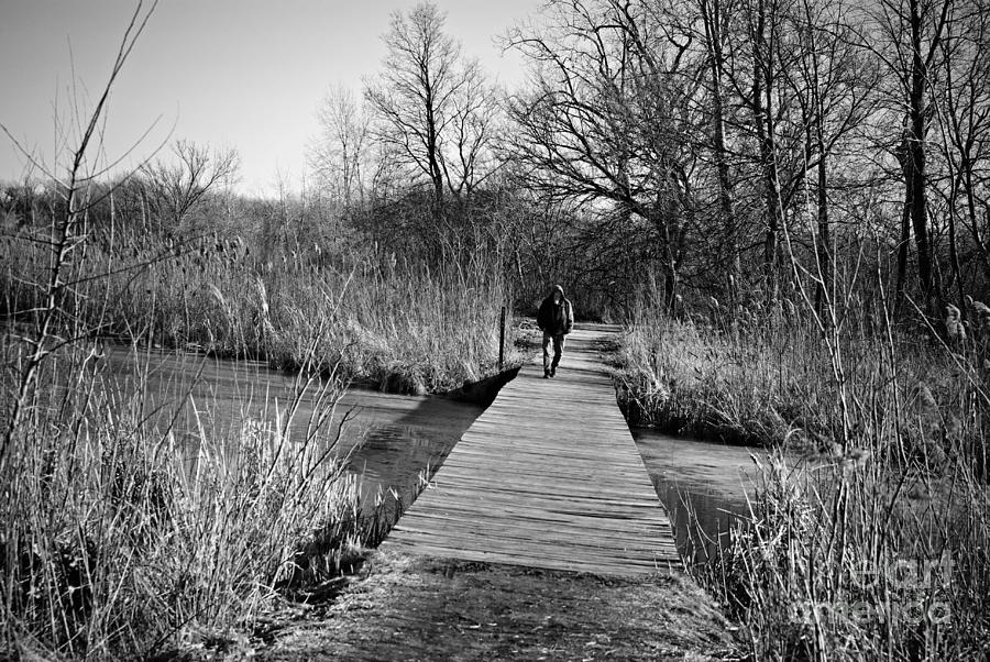 Mild Day Winter Wetlands - Black And White Photograph by Frank J Casella