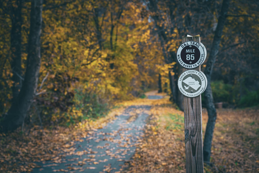 Mile Marker 85 DL Autumn DL Trail Photograph by Jason Fink