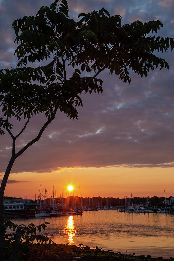 Milford Harbor at Sunset Photograph by Karol Livote