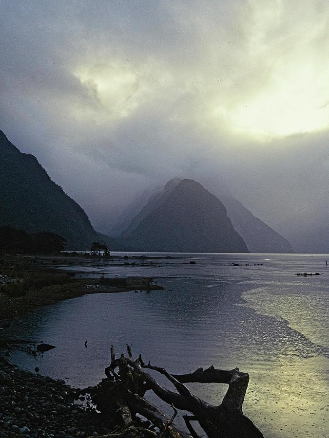 Milford Sound 2, New Zealand Photograph by Steven Ralser