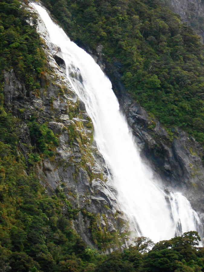 Milford Sound 21 Photograph by Ron Kandt