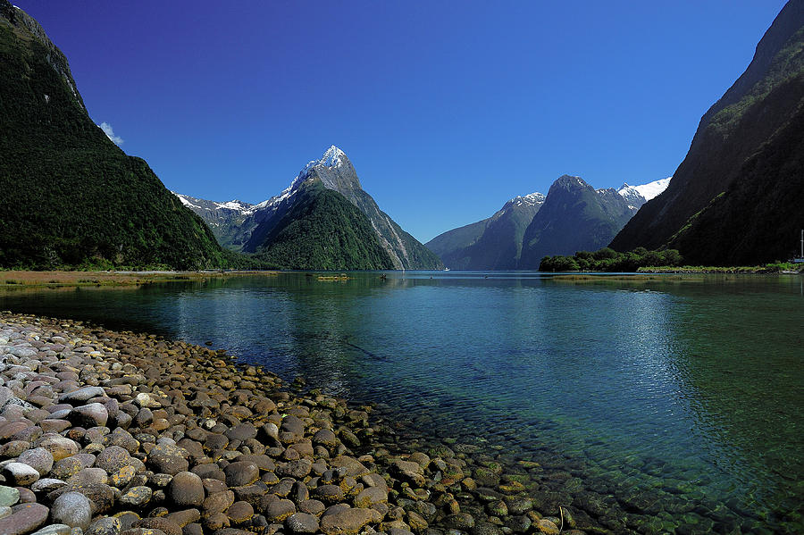 Milford Sound Photograph by Doug Wittrock