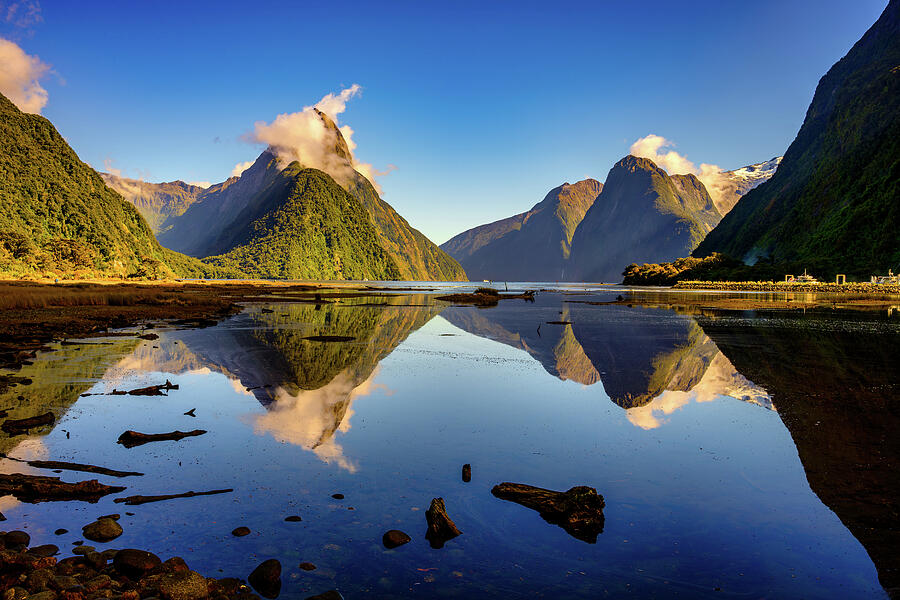 Milford Sound Photograph - Milford Sound Reflections by Jan Fijolek