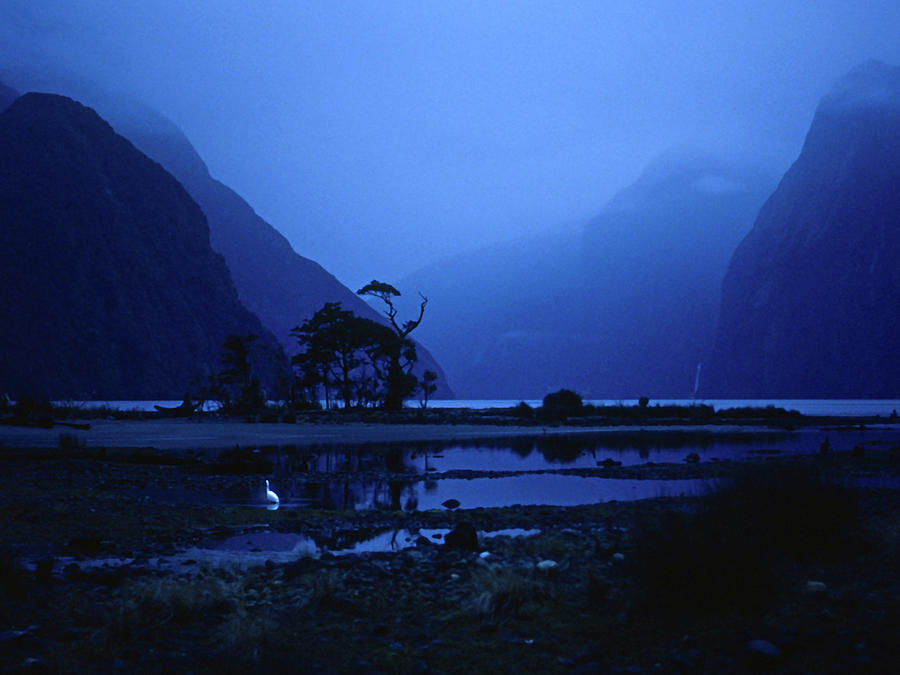 Milford Sound Twilight - New Zealand Photograph by Jim Pavelle