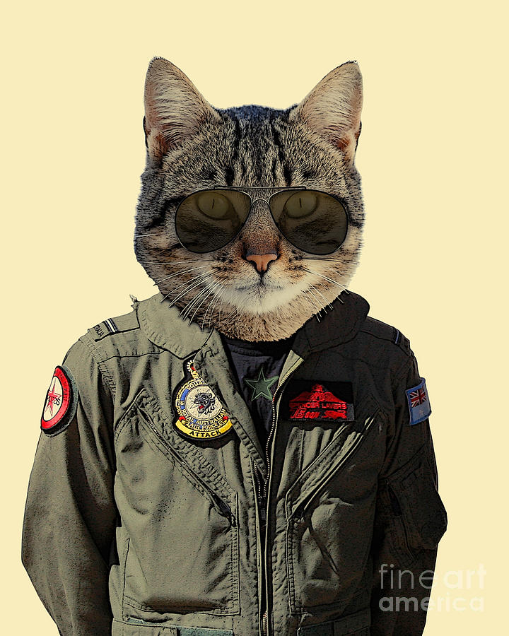 Cat Digital Art - Military Cat Portrait by Madame Memento