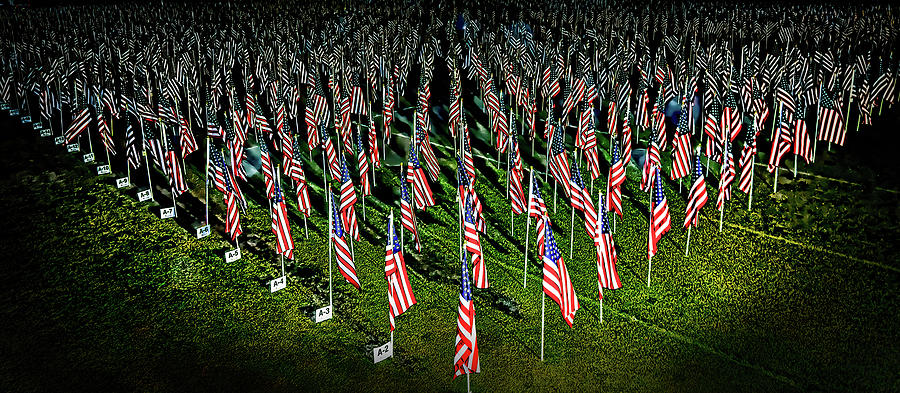Military Honor Flags Photograph by Faith Burns