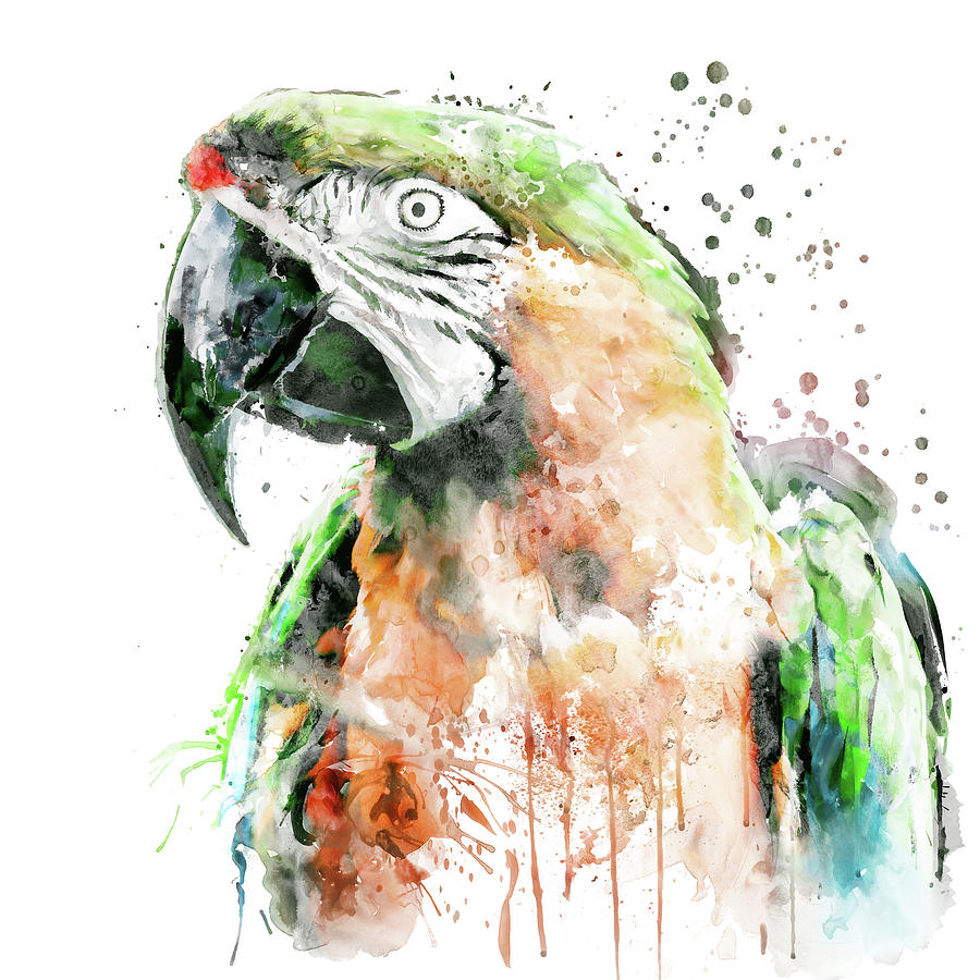 Nature Painting - Military Macaw Parrot Head by Marian Voicu