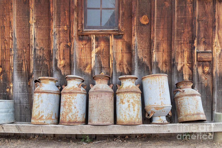 Milk Cans Photograph by Jim West