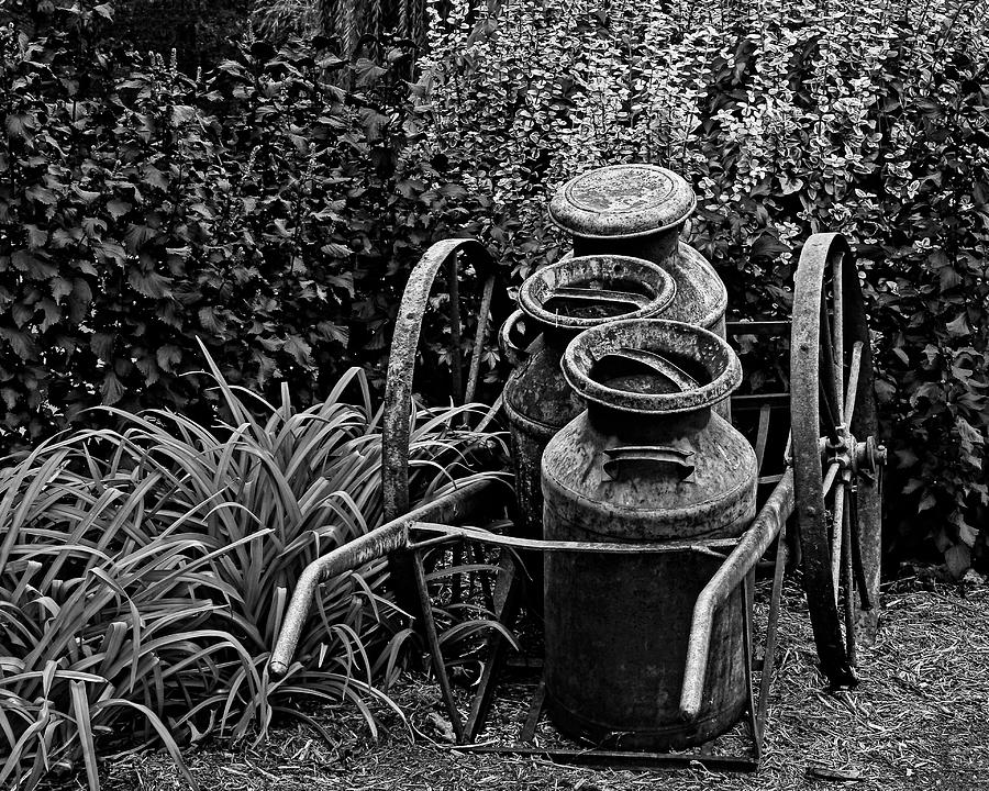 Milk Pails Black and White Photograph by Judy Vincent