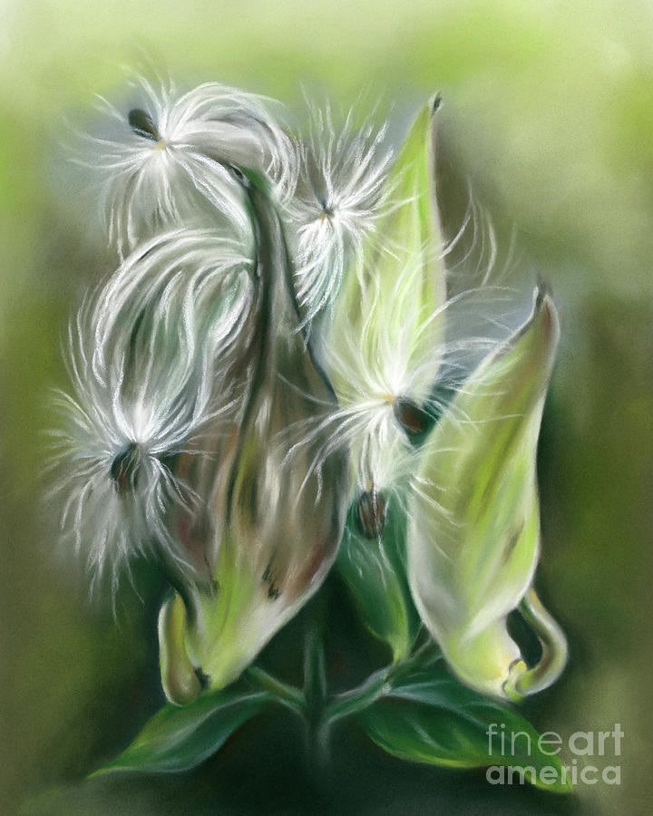 Milkweed Pods and Seeds Painting by MM Anderson