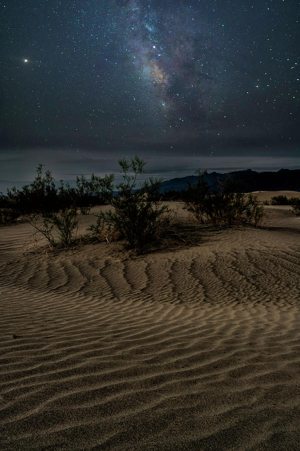 Milky Way and Mesquite Dunes Photograph by Lindsay Thomson