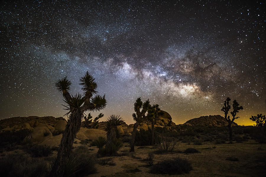 Milky way and stars over Joshua Tree desert Photograph by Schroptschop